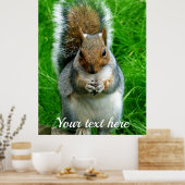 庭にかわいいリスの写真 ポスター (キッチン)