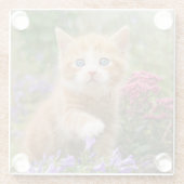 庭にかわいい生姜猫の子猫をおもしろい写真- ガラスコースター (裏面)