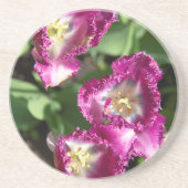 庭にかわいい紫のチューリップ コースター (正面)