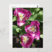 庭にかわいい紫のチューリップ ポストカード (正面/裏面)