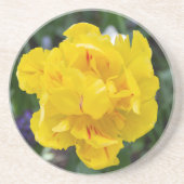 庭にかわいい黄色いチューリップ コースター (正面)