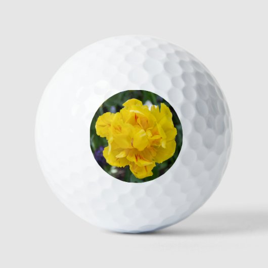 庭にかわいい黄色いチューリップ ゴルフボール (正面)