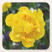 庭にかわいい黄色いチューリップ スクエアペーパーコースター (正面)