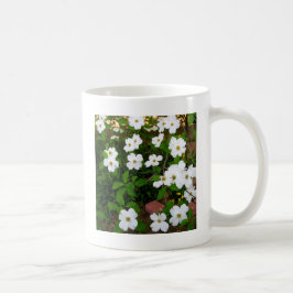 庭にて ~ ハナミズキの花 コーヒーマグカップ