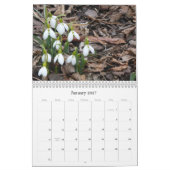 庭によっては2017カレンダーが開花します カレンダー (1月 2027)