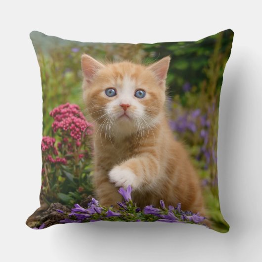 庭に可愛い生姜の子猫 クッション (正面)
