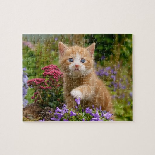 庭に可愛い生姜の子猫 ジグソーパズル (横)