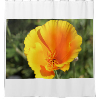 庭に咲くカリフォルニアの花 シャワーカーテン
