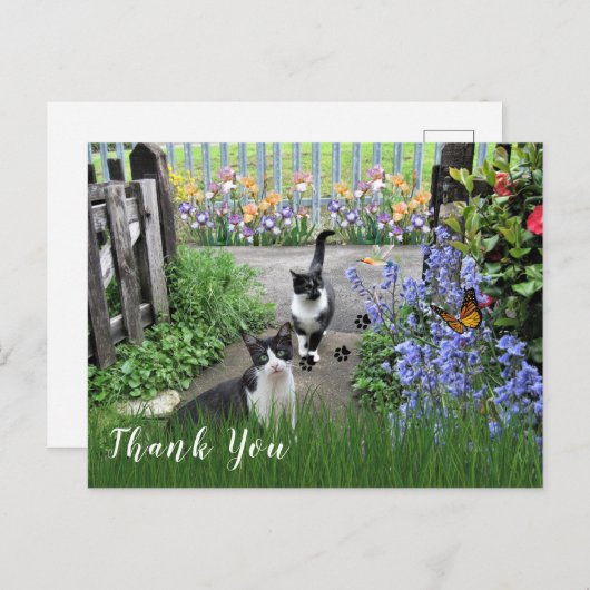 庭に咲く白と黒のタキシード猫ありがとう ポストカード (正面/裏面)
