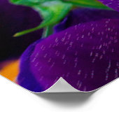 庭に咲く美しいパンジー ポスター (角)