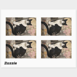 庭に座る岩にタキシード猫|過去記事 長方形シール