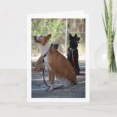 庭に座る犬たち カード (正面)