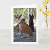 庭に座る犬たち カード (黄色い花)