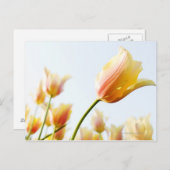 庭に生えているチューリップを見上げて ポストカード (正面/裏面)