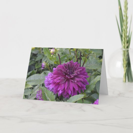 庭に紫色のダリアを持つノートカード カード (正面)