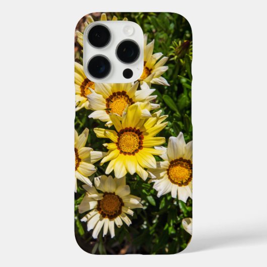 庭に美しい黄色のガザニアの花 Case-Mate iPhoneケース (裏面)
