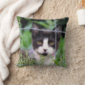 庭に見えるタキシードの子猫 クッション (ブランケット)