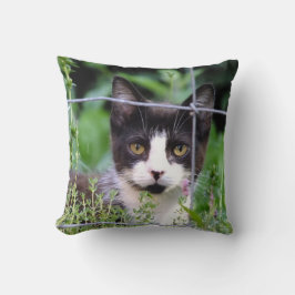 庭に見えるタキシードの子猫 クッション