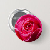 庭に赤いバラが生えている 缶バッジ (正面&裏面)