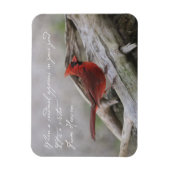 庭に（鳥）ショウジョウコウカンチョウが現れると… マグネット (縦)