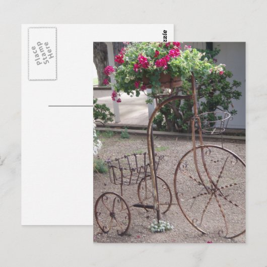 庭のお守り ポストカード (正面/裏面)