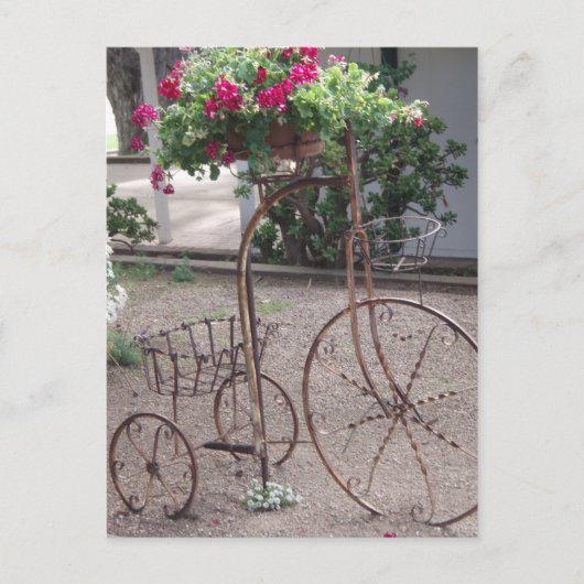 庭のお守り ポストカード (正面)