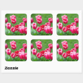 庭のかわいい緋色のチューリップ スクエアシール (シート)