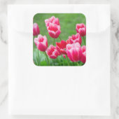 庭のかわいい緋色のチューリップ スクエアシール (バッグ)