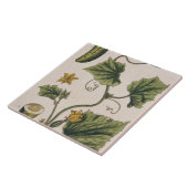 庭のきゅうりは、「好奇心が強い草」からの4つをめっきします、 タイル (側面)