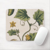 庭のきゅうりは、「好奇心が強い草」からの4つをめっきします、 マウスパッド (マウス)