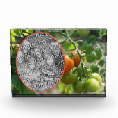 庭のさくらんぼトマト自分で追加 フォトブロック (正面)