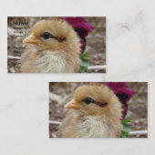 庭のひよこ 名刺 (正面/裏面)