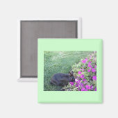 庭のウサギ マグネット (正面/裏面)