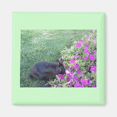 庭のウサギ マグネット (正面)