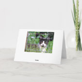 庭のグリーティングカードにタキシードの子猫 カード (裏面)