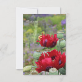 庭のケシの赤 ノートカード