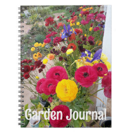 庭のジャーナル ランヌキュラス 赤 春の花 ノートブック