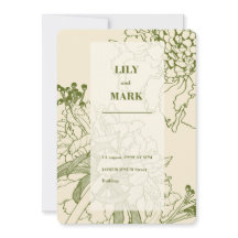 庭のスカビオサの花のラインイラスト