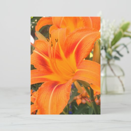 庭のタイガーリリー カード (スタンド正面)