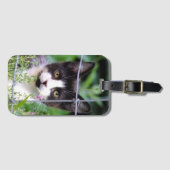 庭のタキシード柄の子猫 ラゲッジタグ (正面横)