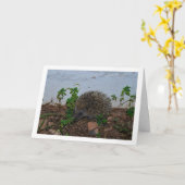 庭のハリネズミの肖像 カード (黄色い花)