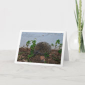 庭のハリネズミの肖像 カード (正面)