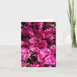 庭のピンクのクレープフラワーズ シーズンカード