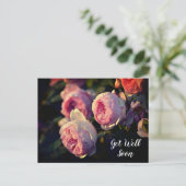 庭のピンクのバラの花 早く回復してね ポストカード (スタンド正面)