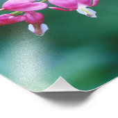 庭のピンクの出血ハート。クレジット： フォトプリント            (角)