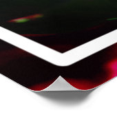 庭のピンクの牡丹の花–33333 ポスター (角)