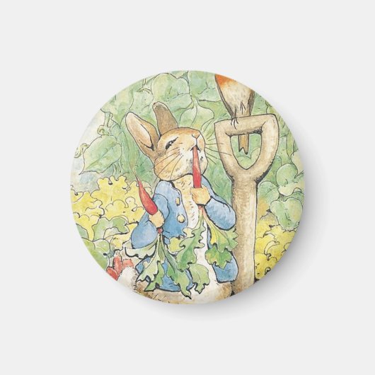庭のピーター・ラビット – Beatrix Potter マグネット (正面)