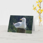 庭のフェンスのポストに止まるカモメの魅力的な鳥アート カード (黄色い花)