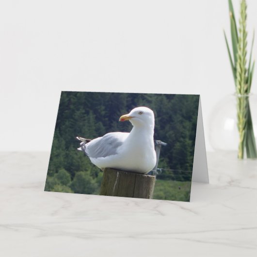 庭のフェンスのポストに止まるカモメの魅力的な鳥アート カード (正面)