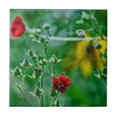 庭のフライバイ タイル (正面)